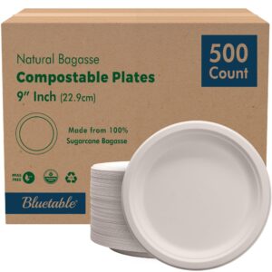 9" White Round Bagasse Plate, 500/cs - BPR09